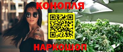 сатива Балахна