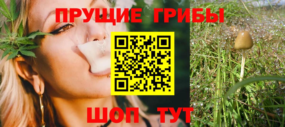 Галлюциногенные грибы ЛСД Горячий Ключ